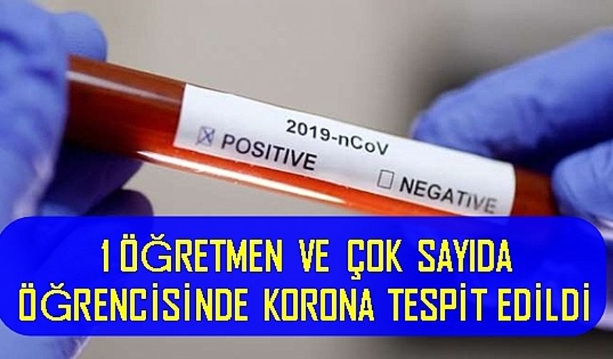 Öğretmen ve ders yaptığı çok sayıda öğrencisinde koronavirüs tespit edildi